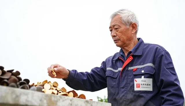农机选型中的关键考量因素与定制化方案实践